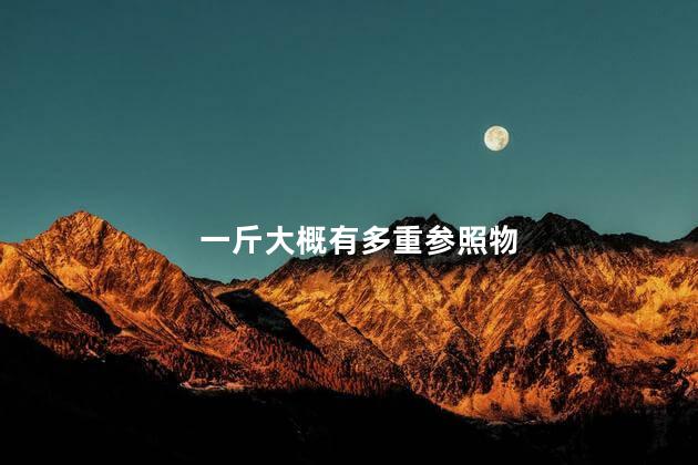 一斤大概有多重参照物,一斤大概有多重实物 - 滚锁常识