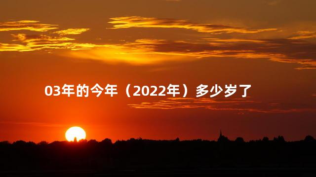 03年的今年（2022年）多少岁了