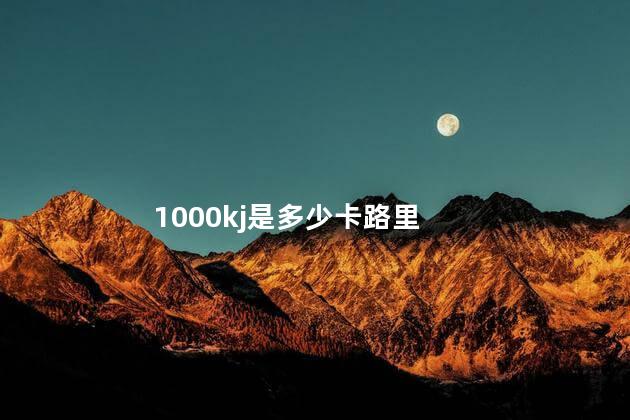 1000kj是多少卡路里