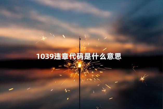 1039违章代码是什么意思