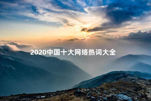 2020中国十大网络热词大全