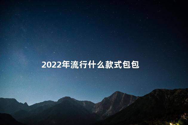 2022年流行什么款式包包