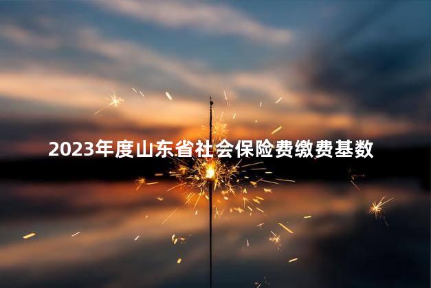 2023年度山东省社会保险费缴费基数上下限标准新规