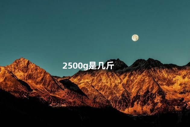 2500g是几斤