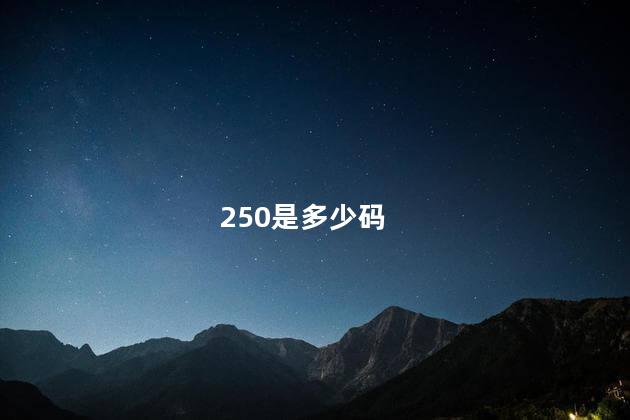 250是多少码