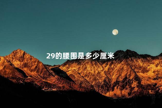 29的腰围是多少厘米