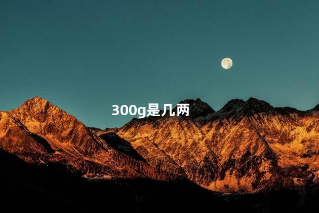 300g是几两