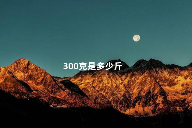 300克是多少斤