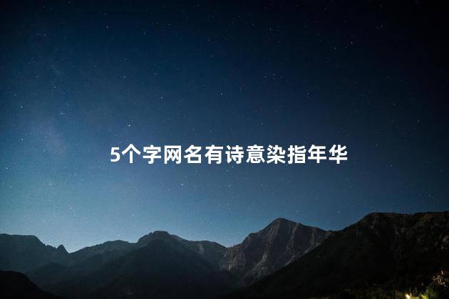 5个字网名有诗意染指年华