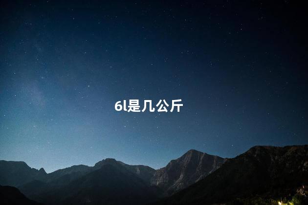6l是几公斤