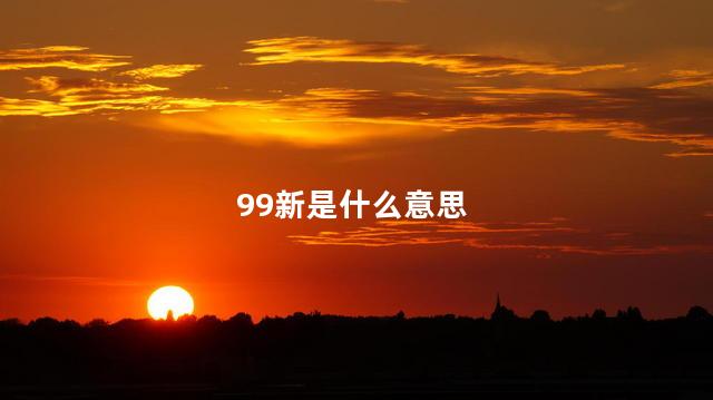 99新是什么意思