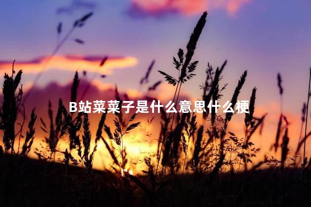 B站菜菜子是什么意思什么梗