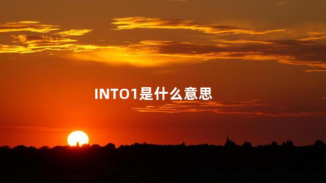 INTO1是什么意思