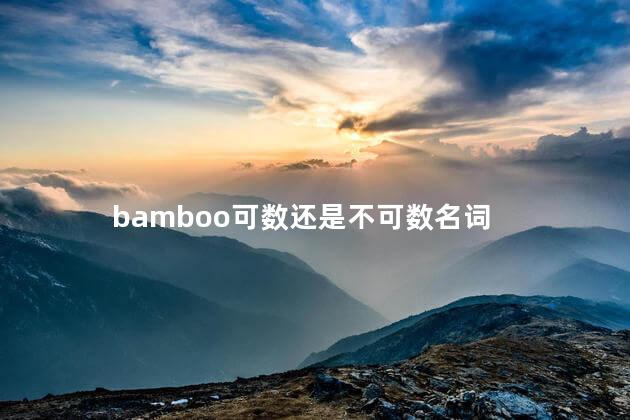 bamboo可数还是不可数名词
