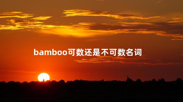 bamboo可数还是不可数名词