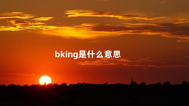 bking是什么意思