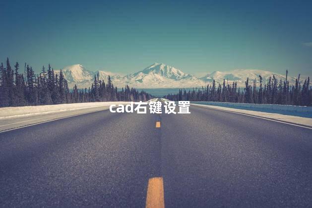 cad右键设置