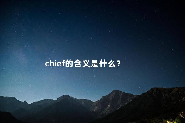 chief的含义是什么？