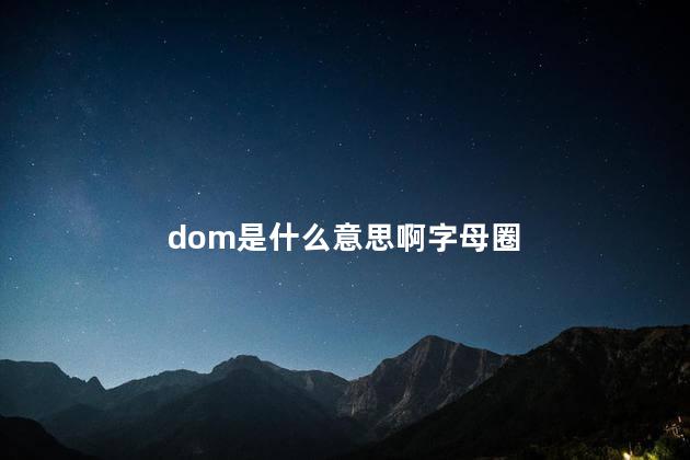 dom是什么意思啊 dom是s的一种吗