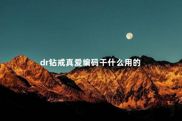 dr钻戒真爱编码干什么用的