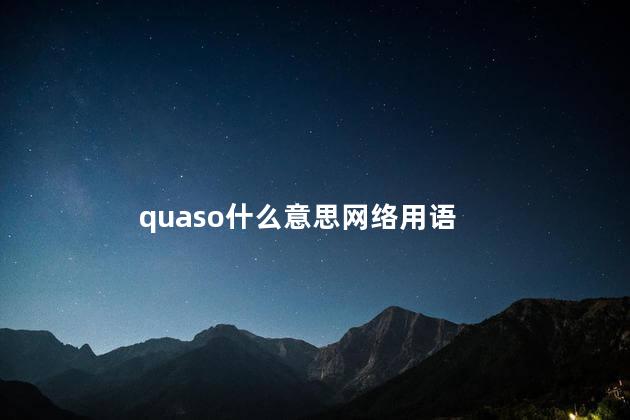 quaso什么意思网络用语