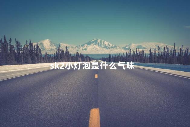 sk2小灯泡是什么气味