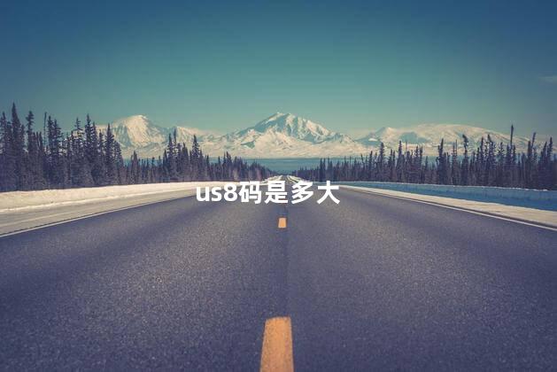 us8码是多大