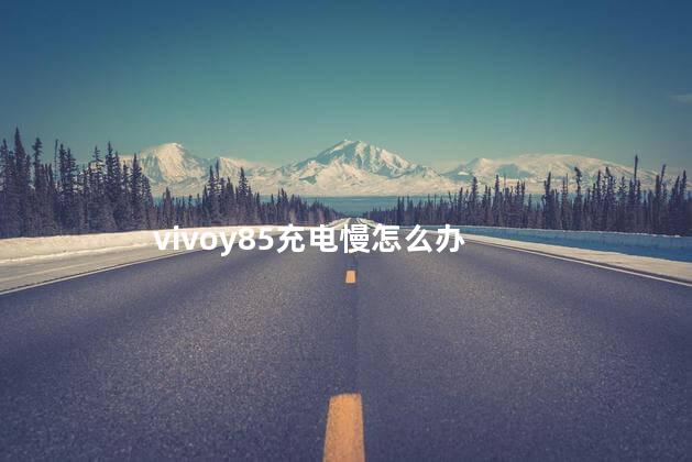 vivoy85充电慢怎么办