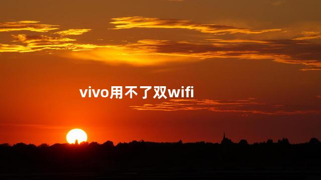 vivo用不了双wifi