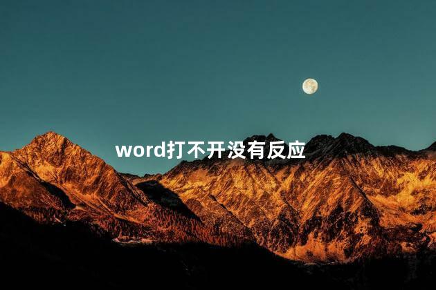 word打不开没有反应