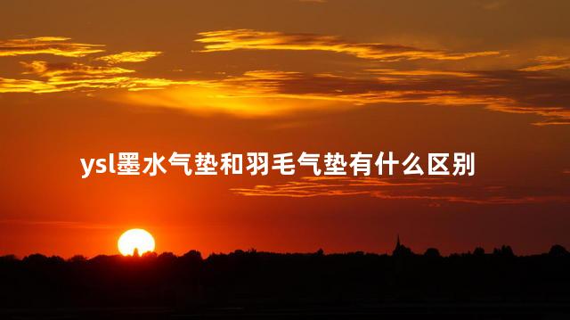 ysl墨水气垫和羽毛气垫有什么区别