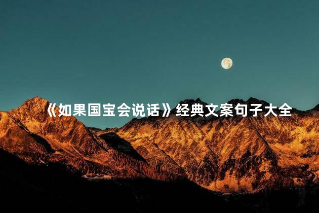 《如果国宝会说话》经典文案句子大全