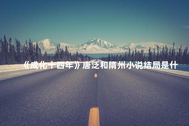 《成化十四年》唐泛和隋州小说结局是什么