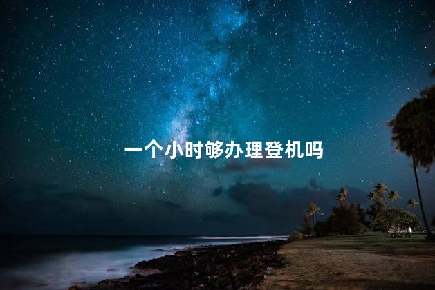 一个小时够办理登机吗