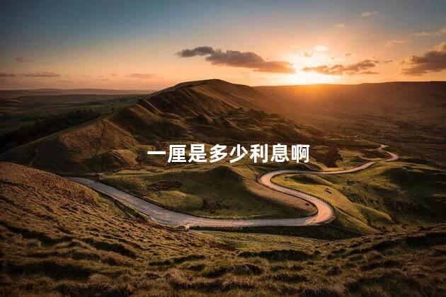 一厘是多少利息啊