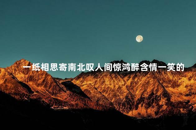 一纸相思寄南北叹人间惊鸿醉含情一笑的美是什么歌