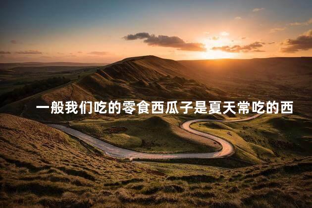 一般我们吃的零食西瓜子是夏天常吃的西瓜里的籽吗