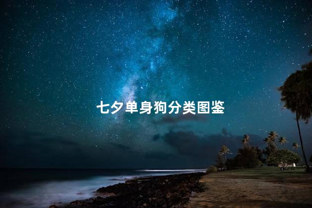 七夕单身狗分类图鉴