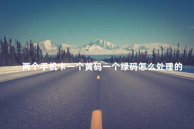 两个手机卡一个黄码一个绿码怎么处理的