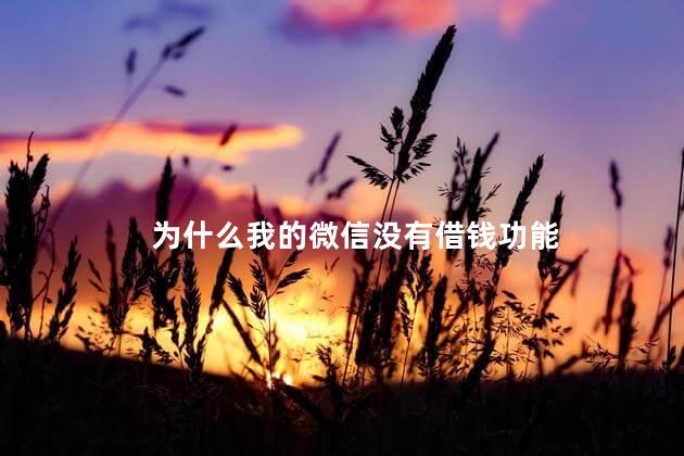 为什么我的微信没有借钱功能