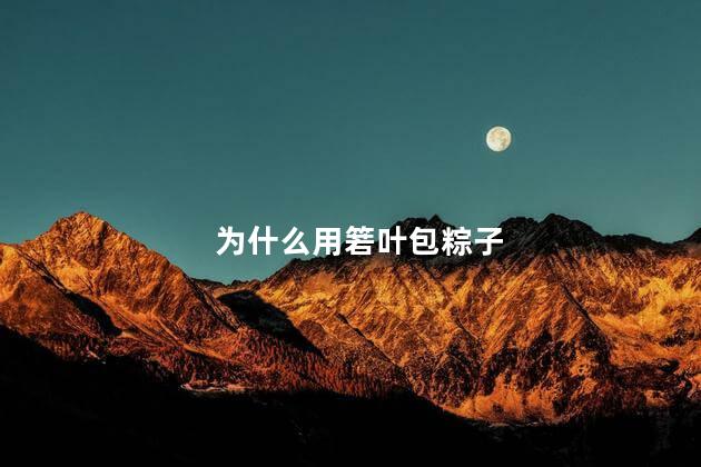 为什么用箬叶包粽子