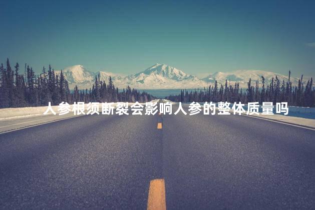 人参根须断裂会影响人参的整体质量吗