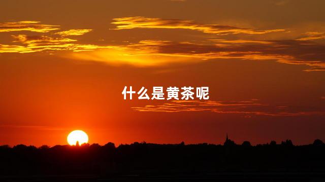 什么是黄茶呢