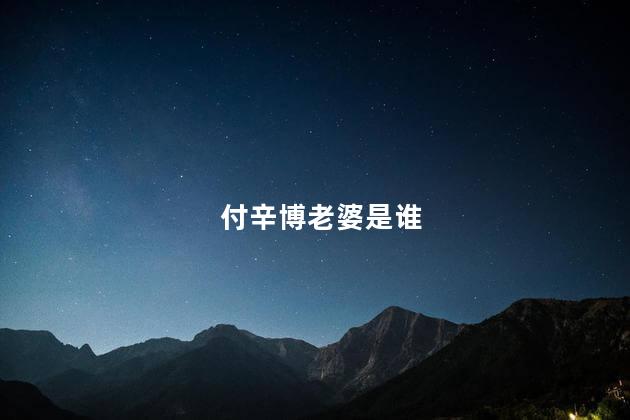 付辛博老婆是谁