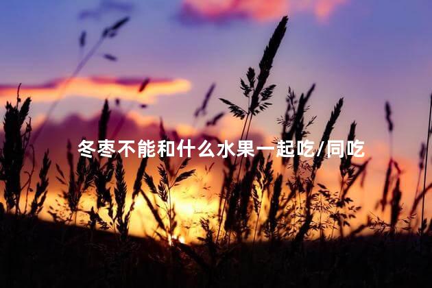 冬枣不能和什么水果一起吃/同吃