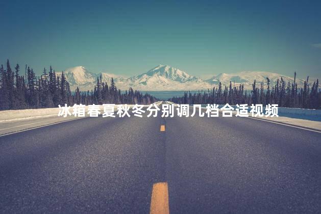 冰箱春夏秋冬分别调几档合适视频