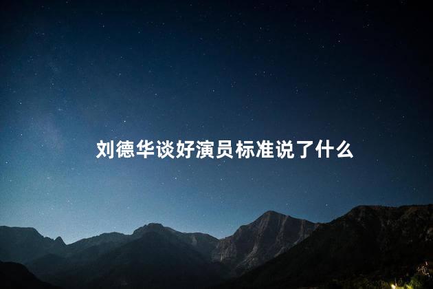 刘德华谈好演员标准说了什么