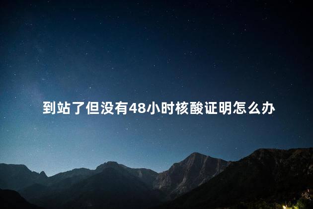 到站了但没有48小时核酸证明怎么办