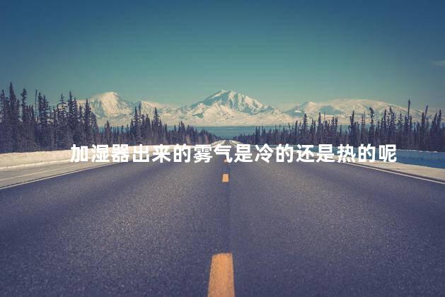 加湿器出来的雾气是冷的还是热的呢