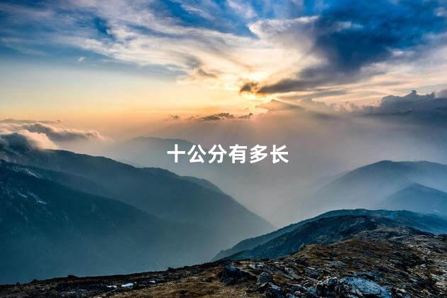 十公分有多长